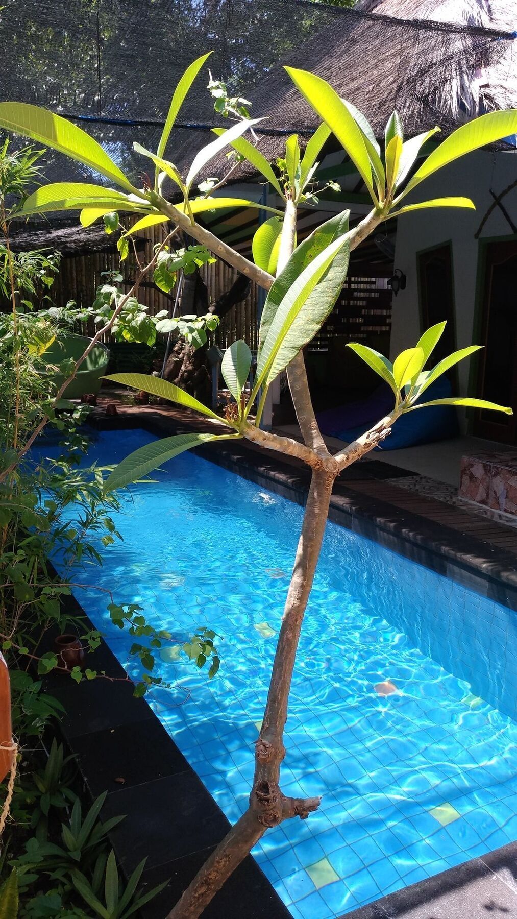 Villa Casa Mio 吉利阿尔 外观 照片